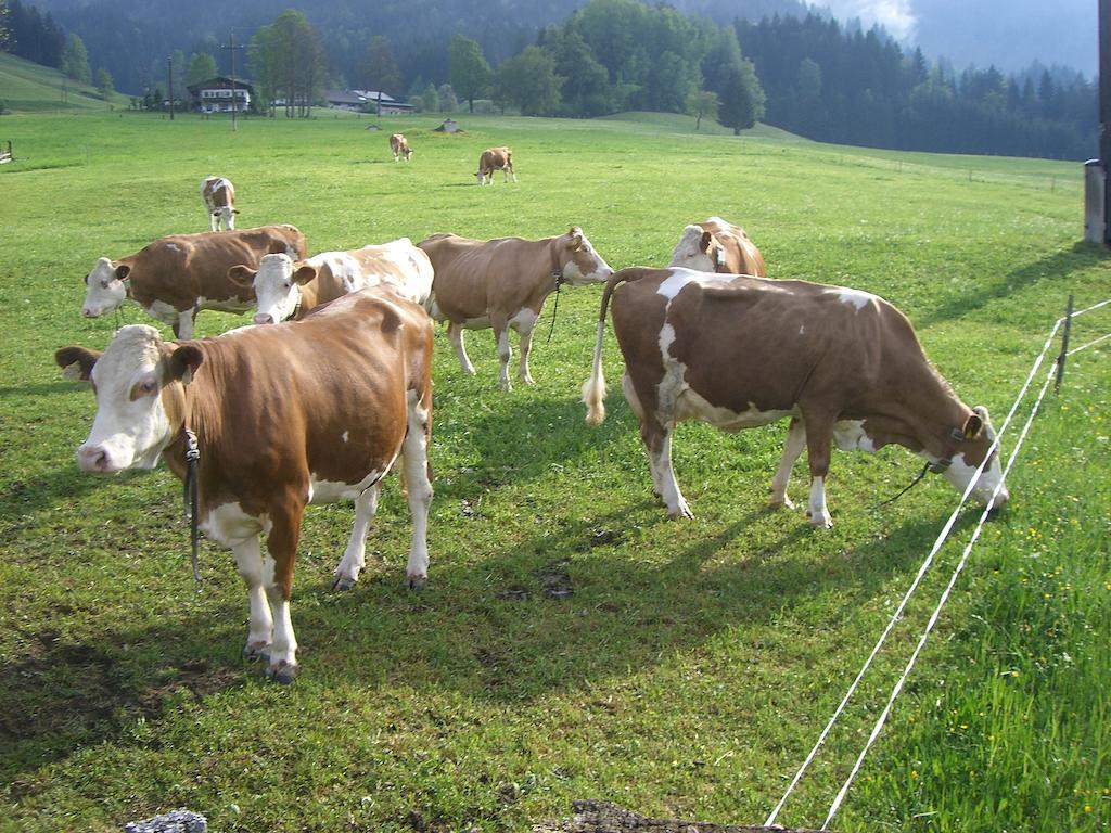 Vorderstockerhof Βίλα Sankt Johann in Tirol Εξωτερικό φωτογραφία